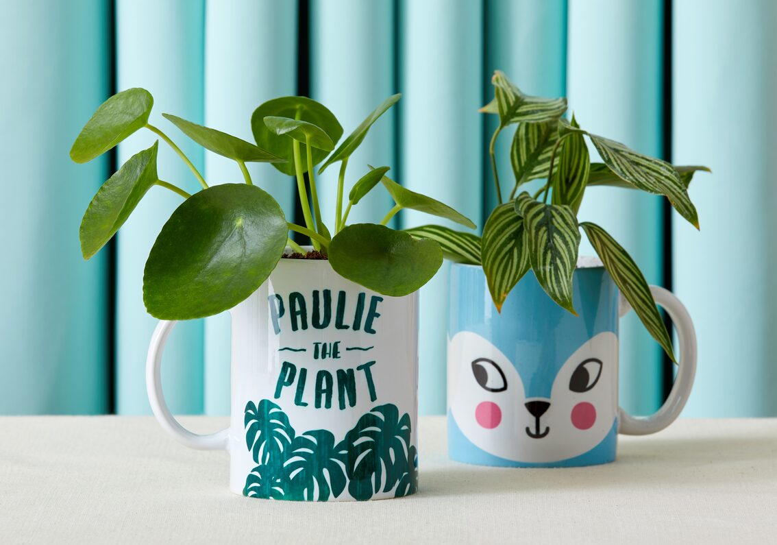 516019_516346_20200810_RootBeerMarketingCampaign_UseCase_Shot8_MAIN.0236 (1)