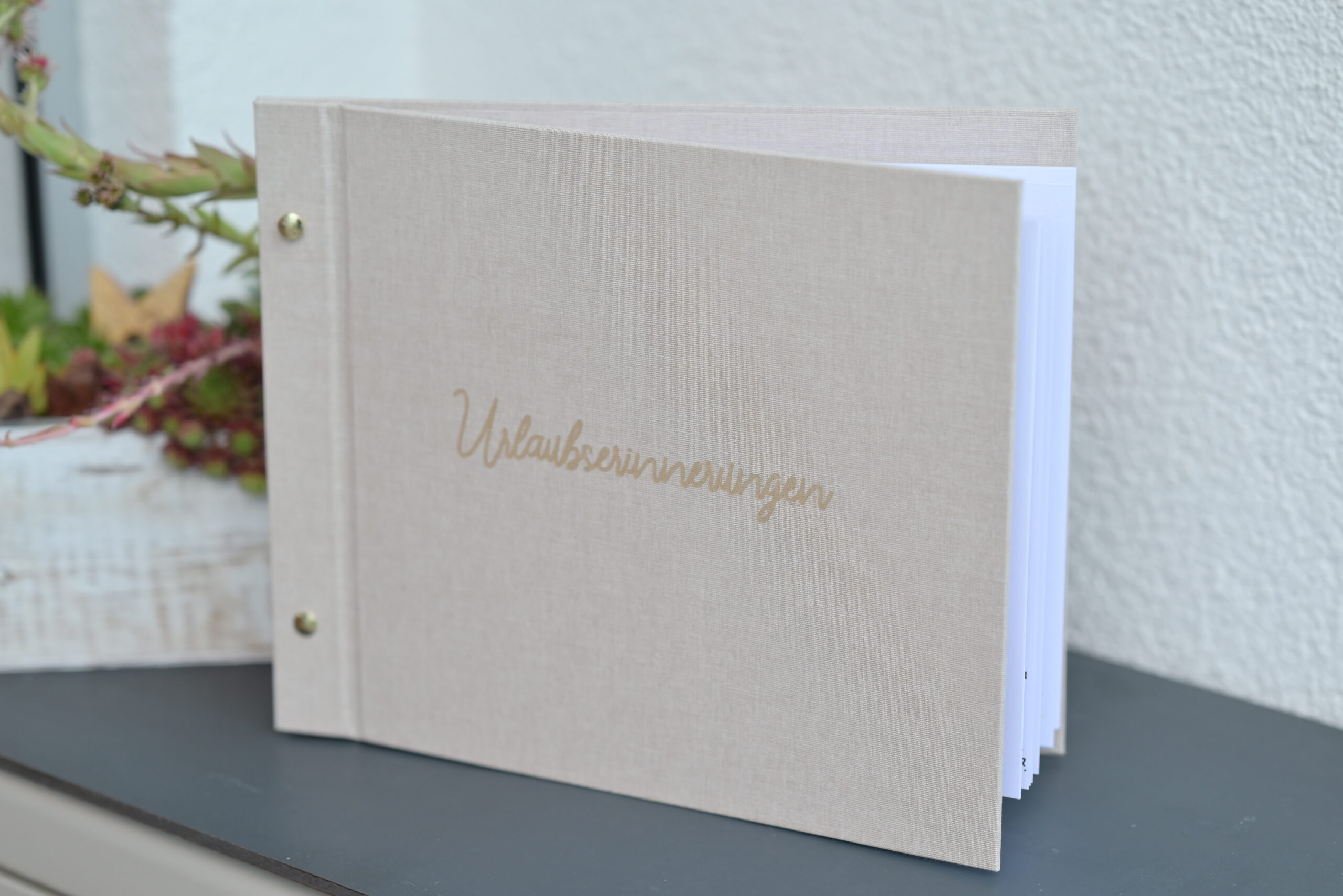 pauwau kreativ: gästebücher selbst gestalten – dein flexibles gästebuch für jeden anlass mit babsi & melly 15. mai um 20:30 bis ca. 22:00 uhr (mit aufzeichnung)